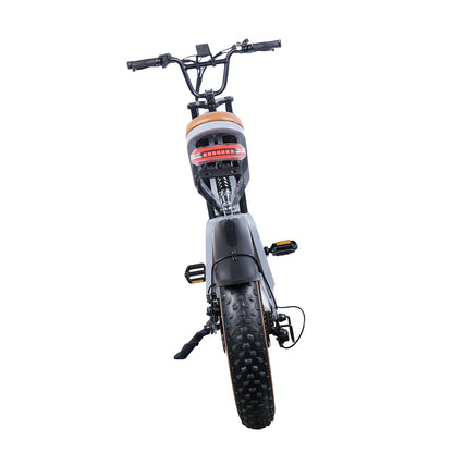 Electric bike - Cross FX9