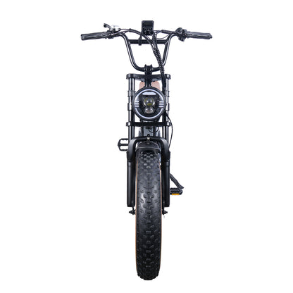 Electric bike - Cross FX9