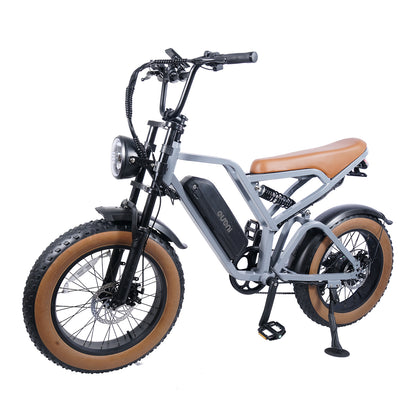 Electric bike - Cross FX9