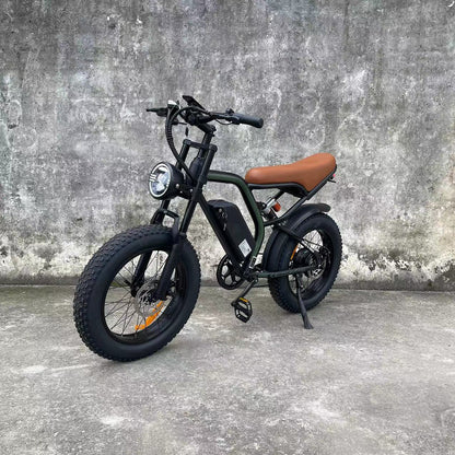 Electric Bike - Cross V1